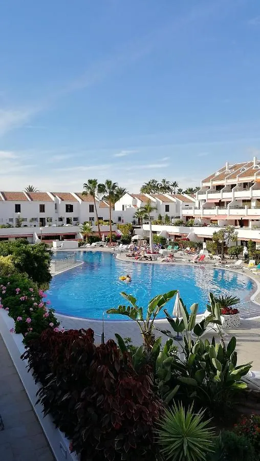 Apartment Parque Santiago 1 Studio On The Coastline Playa de las Americas  Spain